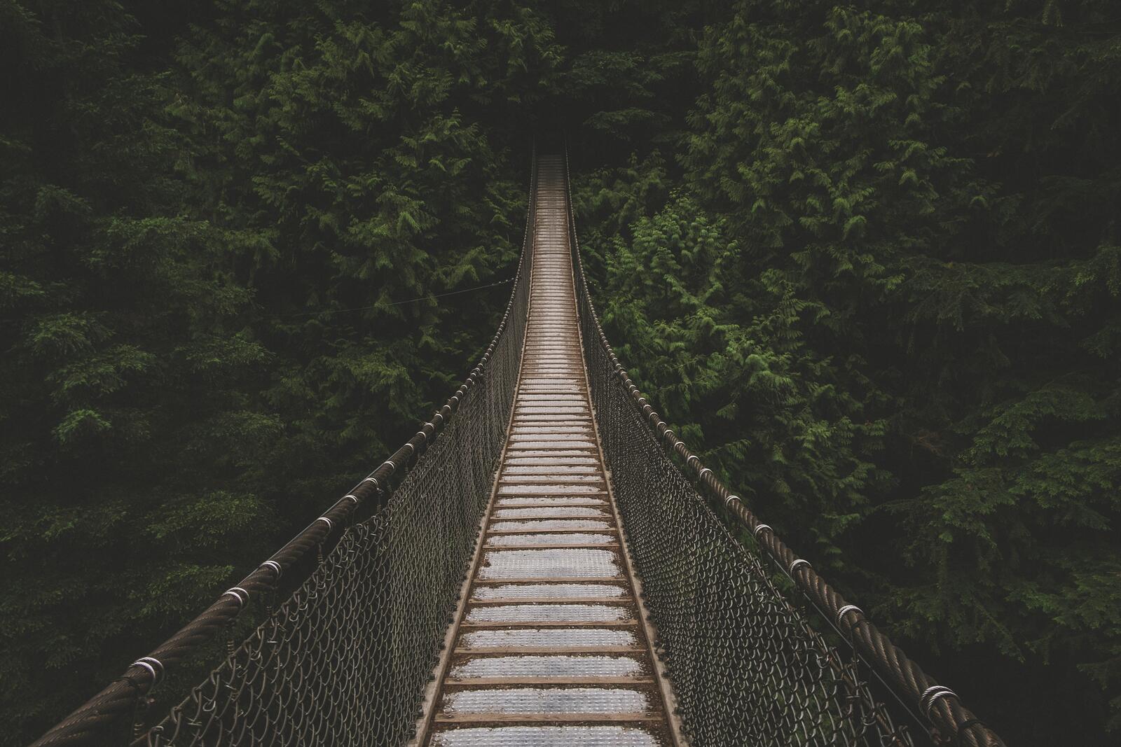 Бесплатное фото Длинный деревянный подвесной мост в джунглях