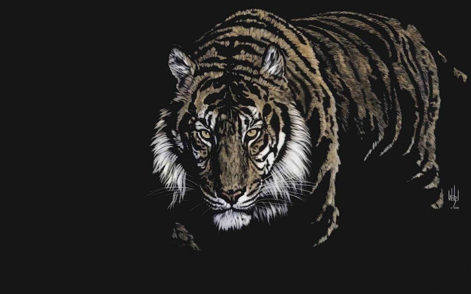 Wallpapers digital art tiger rendering on the desktop