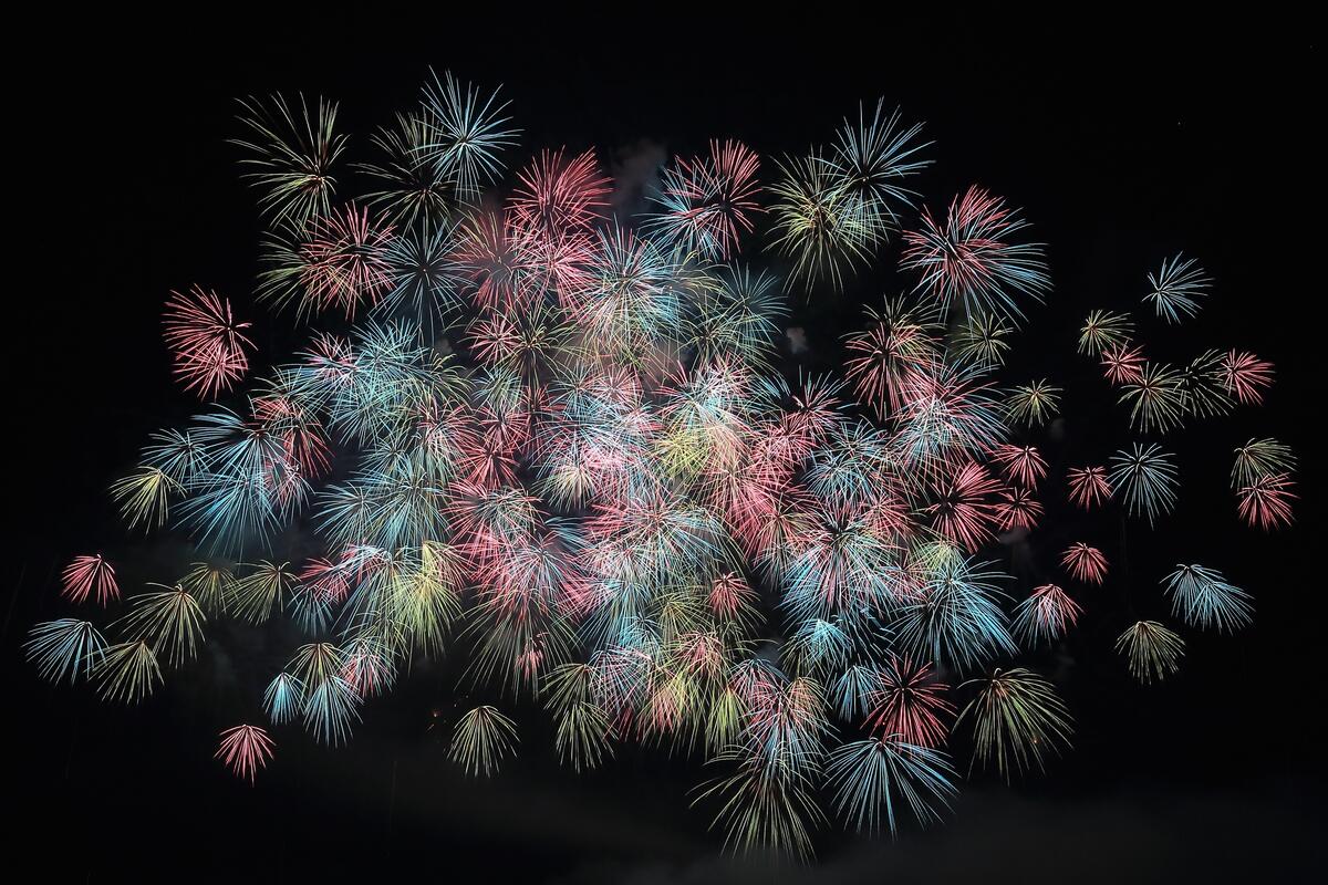 Multicolored fireworks in the night sky