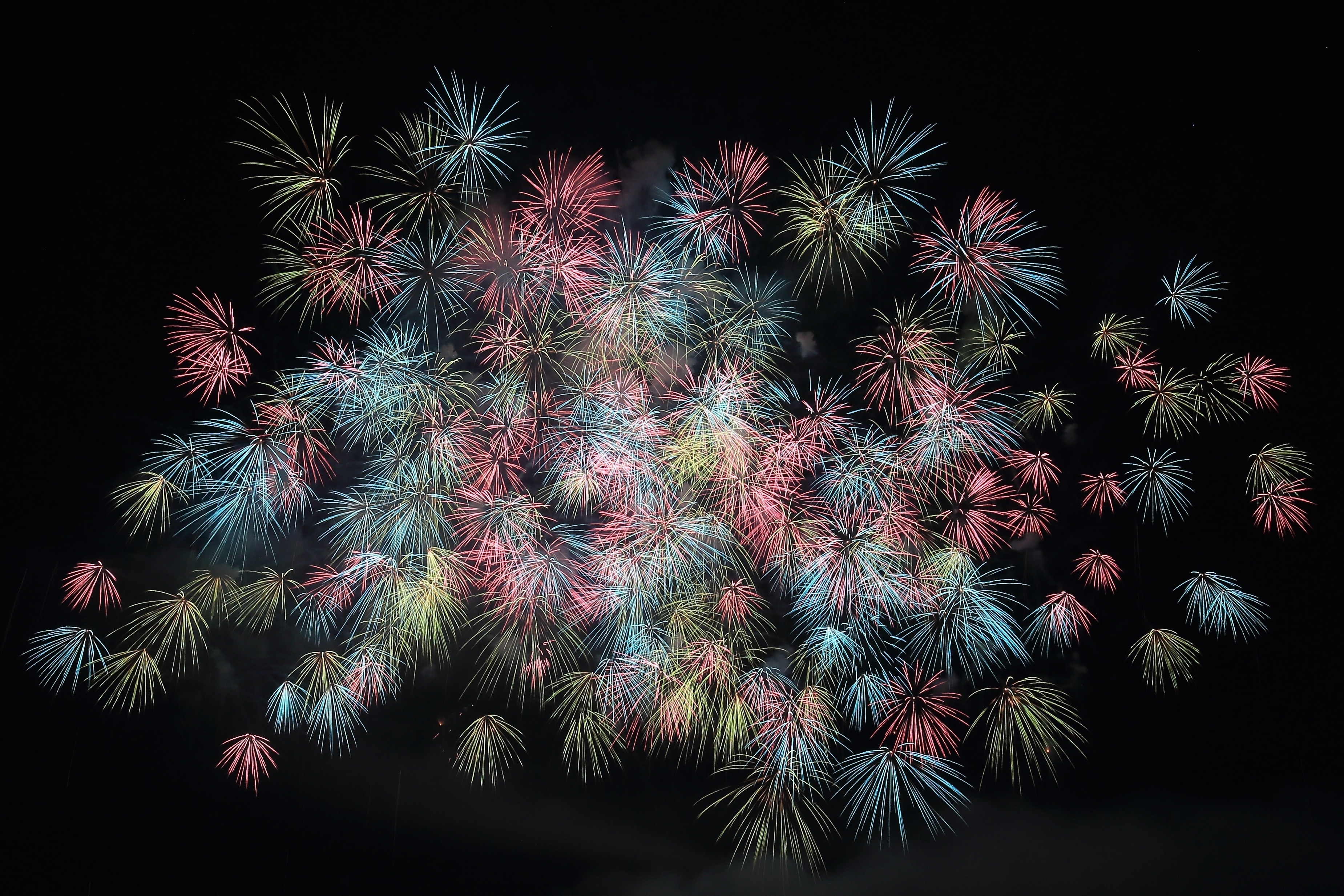 Free photo Multicolored fireworks in the night sky