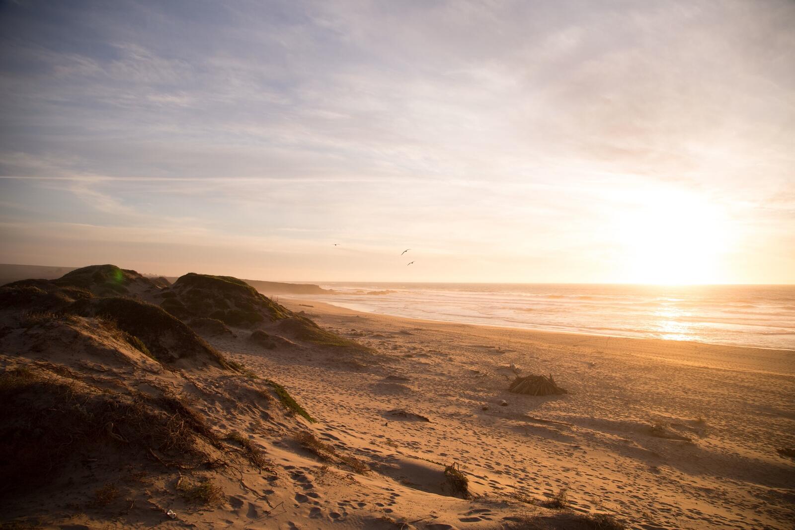 Песочный пляж на побережье океана при закате с чайками