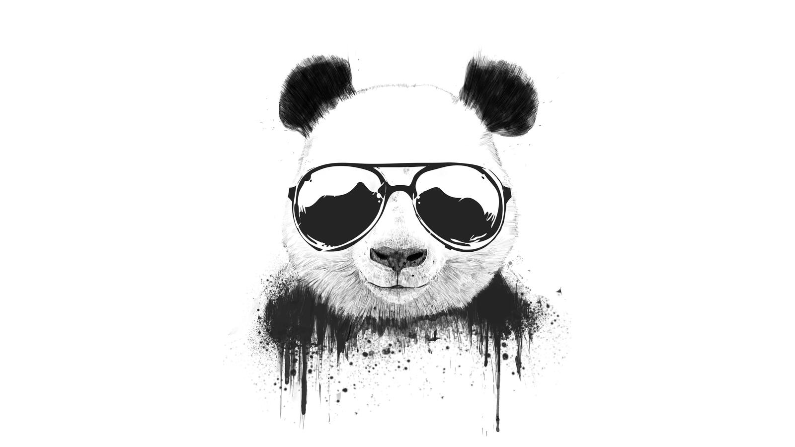 Free photo Brutal panda with glasses