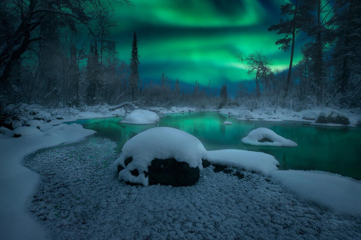 The aurora borealis over the winter forest