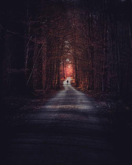 A man walks along a road through a dark autumn forest