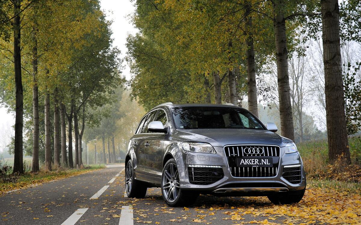 Audi Q7 стоит на осенних листьях