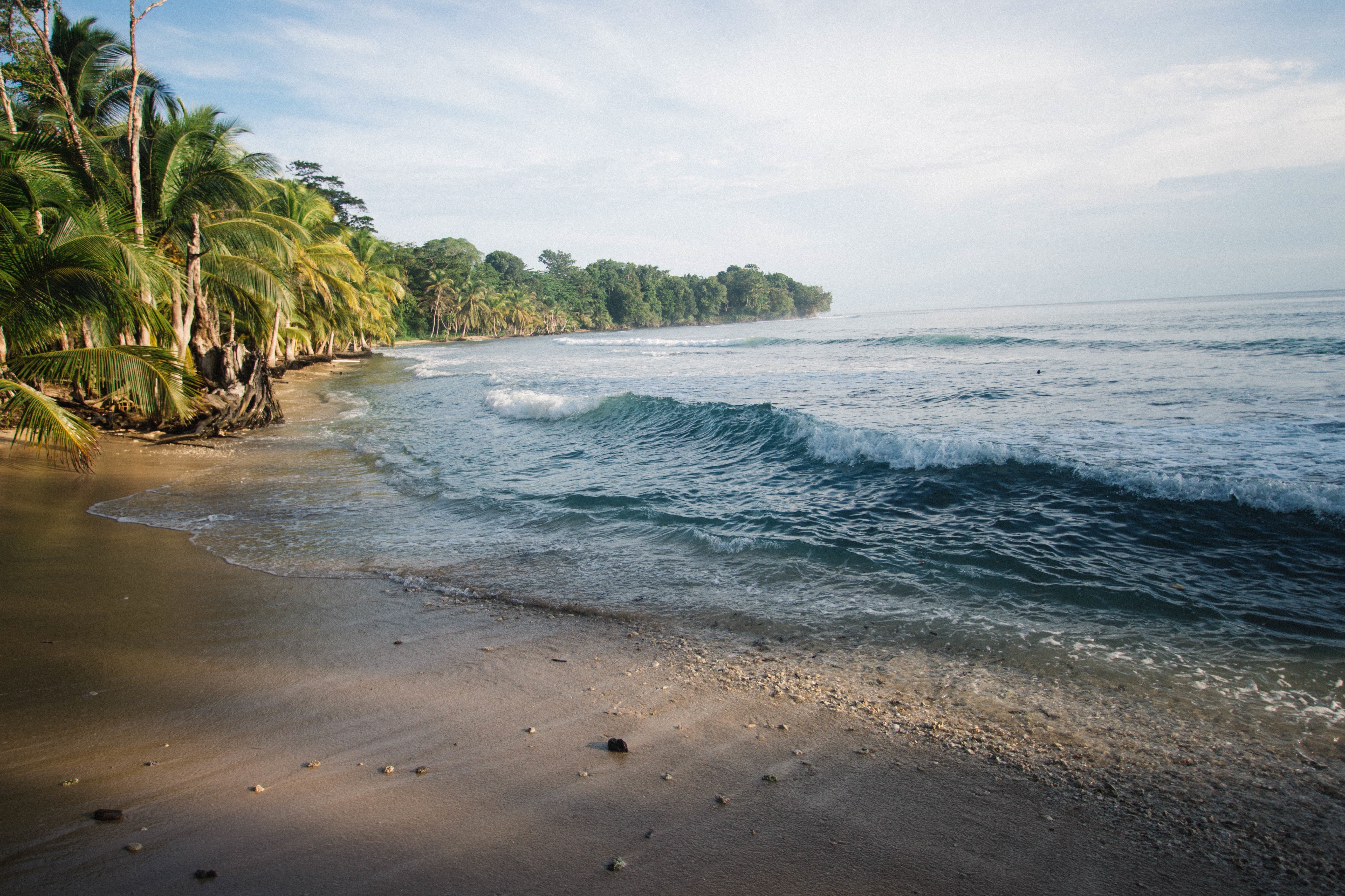 Бесплатное фото Волны на берегу большого острова