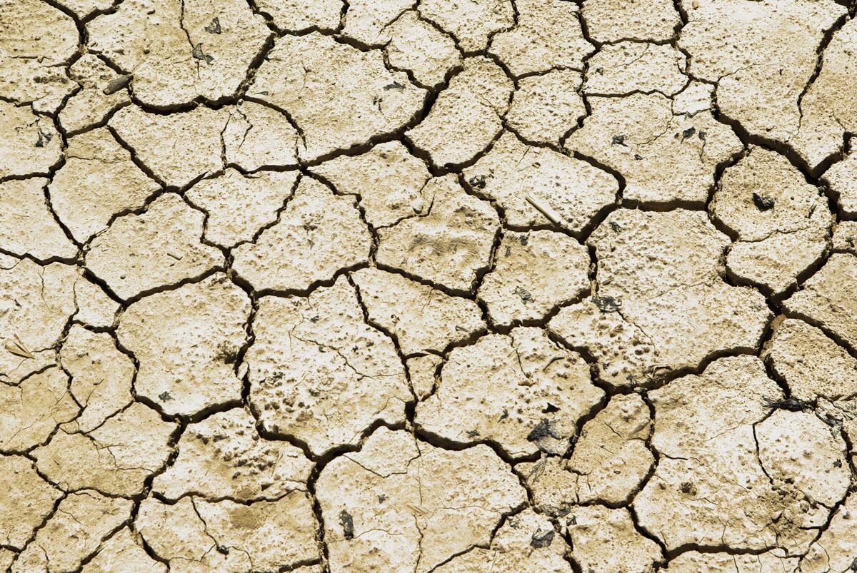 The cracked desert soil