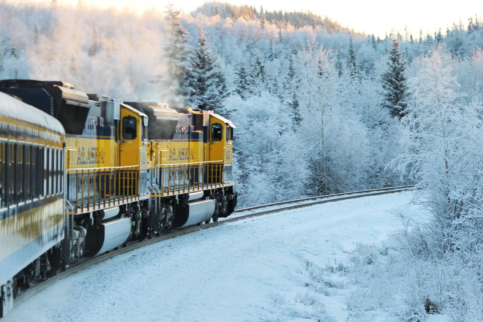 Free photo A train rides through a winter frosty forest