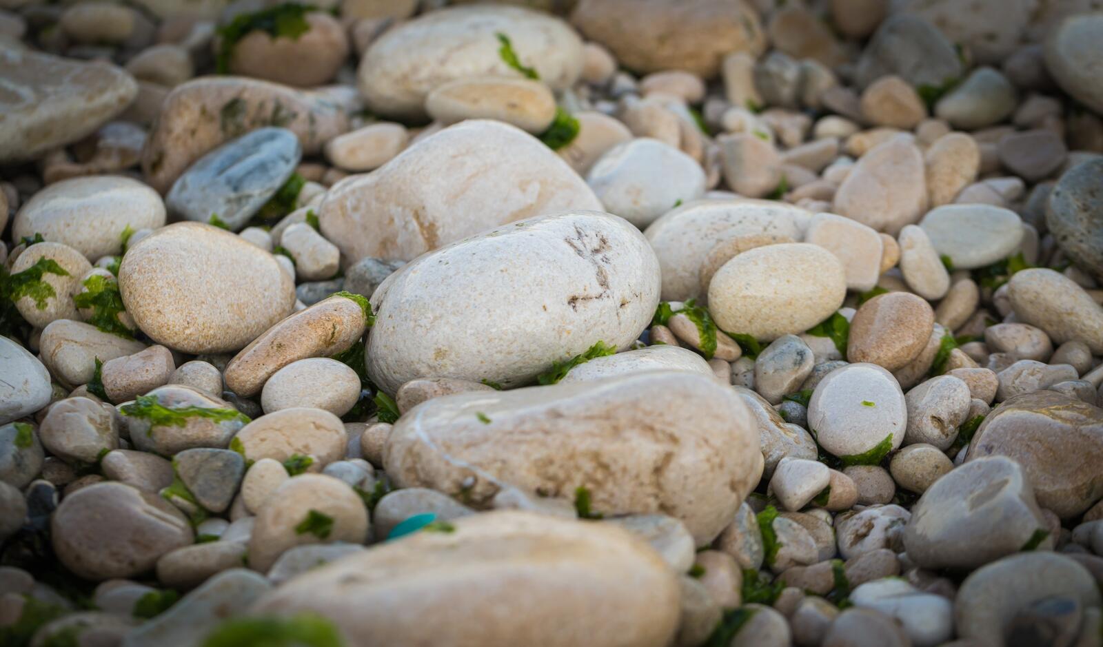 Free photo Rounded stones washed by the sea.