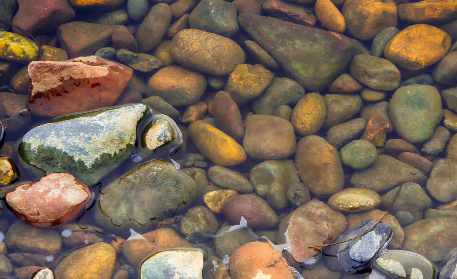 Бесплатное фото Морские камушки в воде