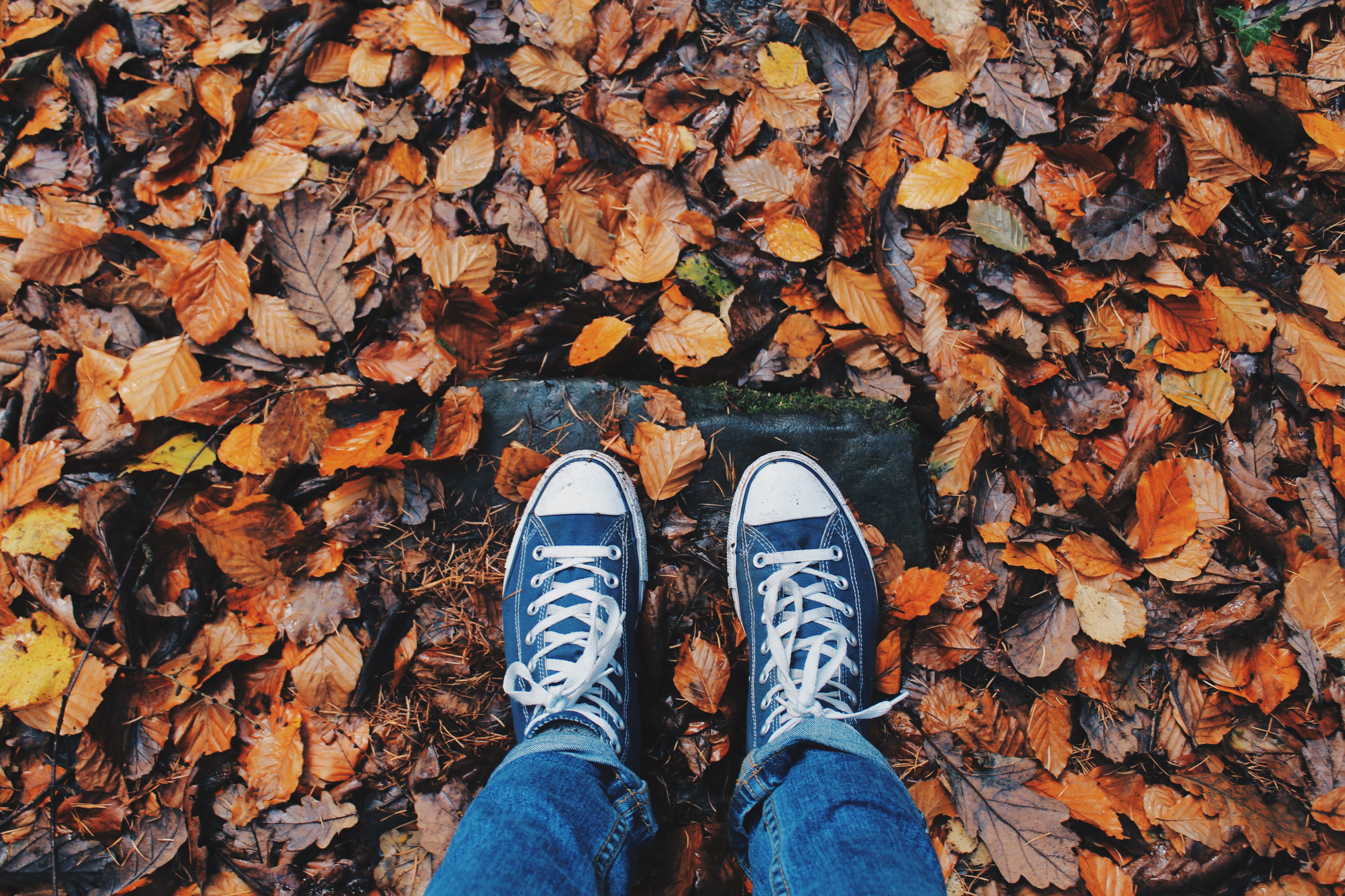 Бесплатное фото Прогулка по опавшим листьям
