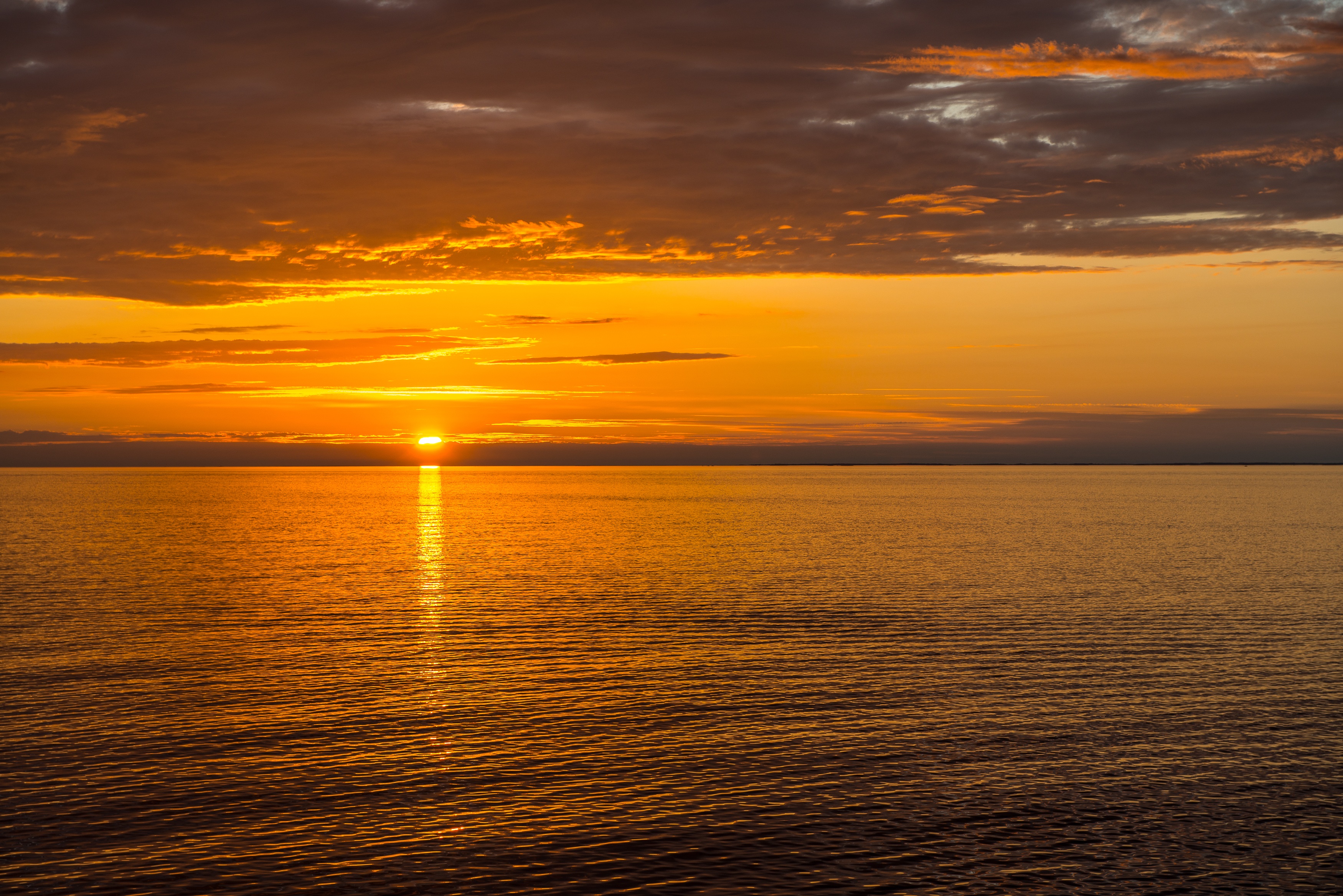 Бесплатное фото Восход солнца над спокойным океаном