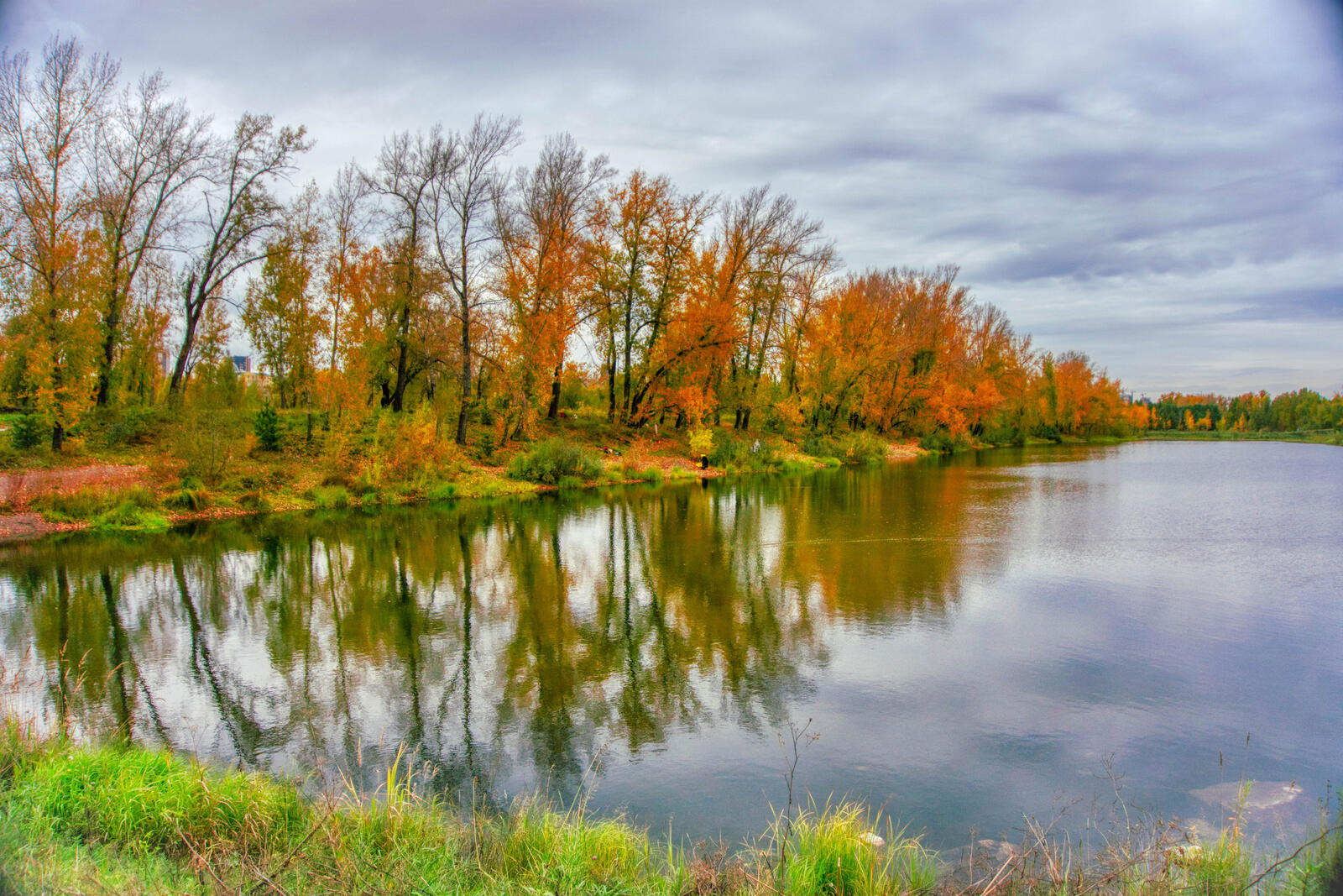 Бесплатное фото Осенним днем у реки