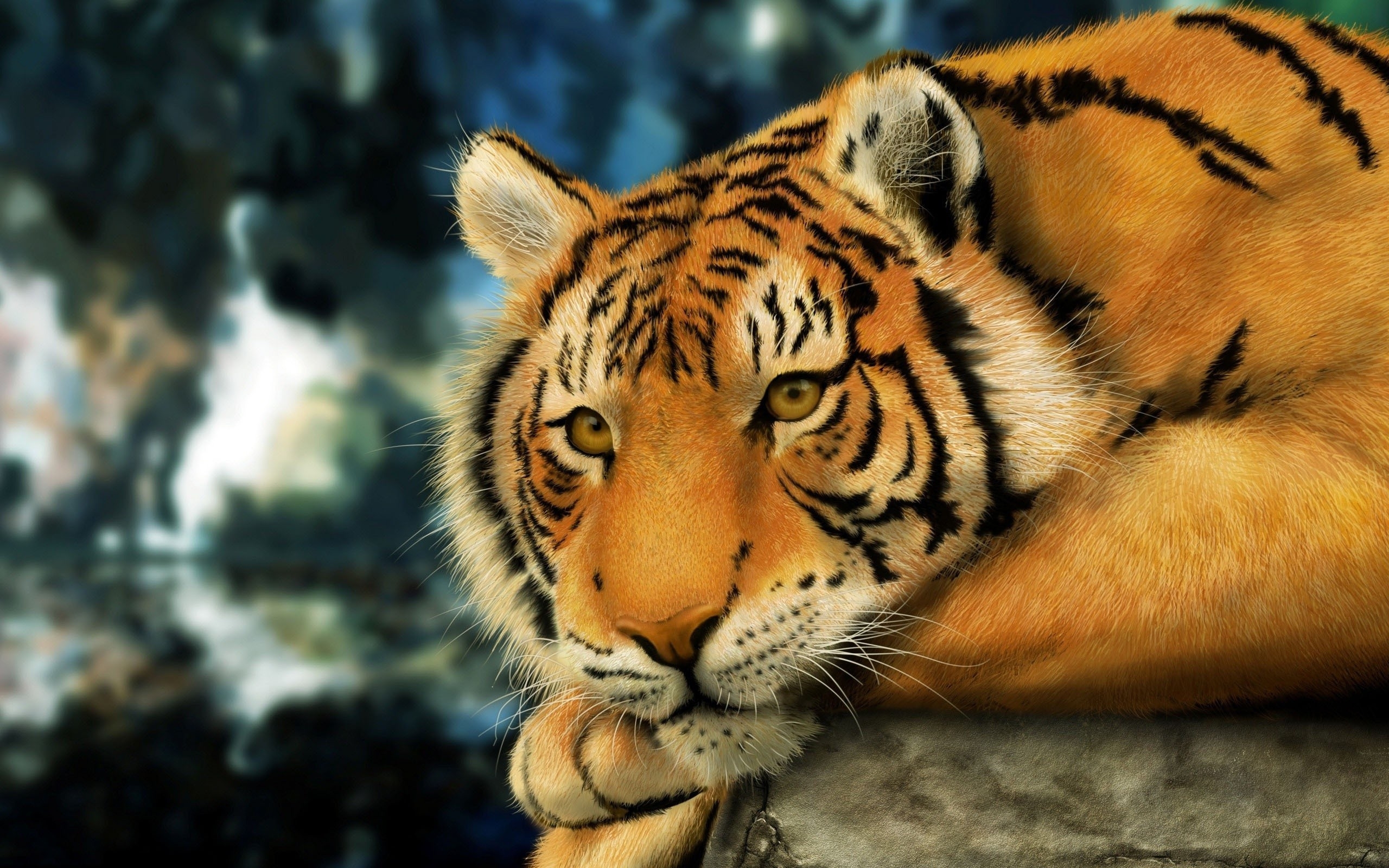 Wallpapers tiger face big cat on the desktop