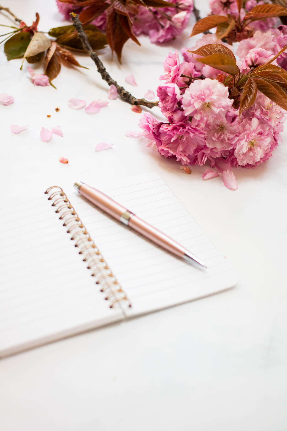 Pink flowers lay next to the notebook