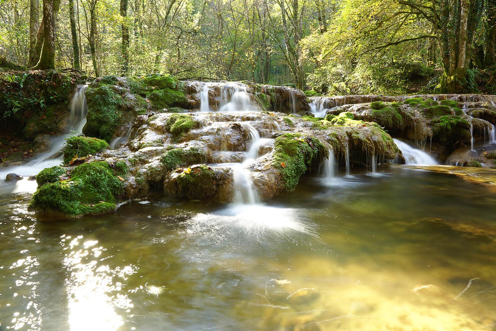 免费照片一幅丛林中的瀑布图。