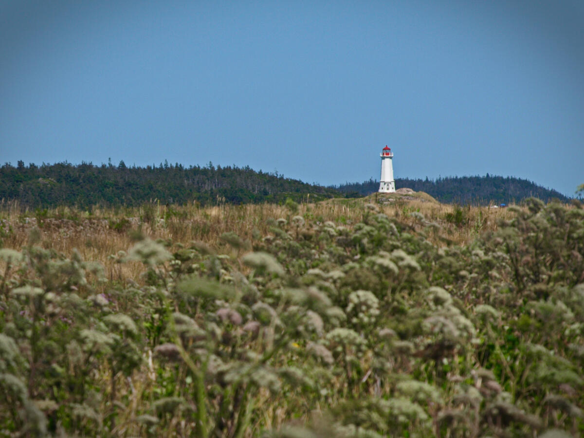 An oceanfront lighthouse located on an elevated area near a field