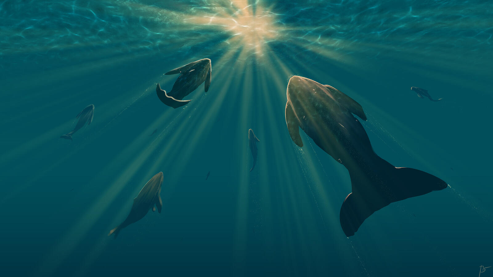 Free photo Sea whales seek sunlight