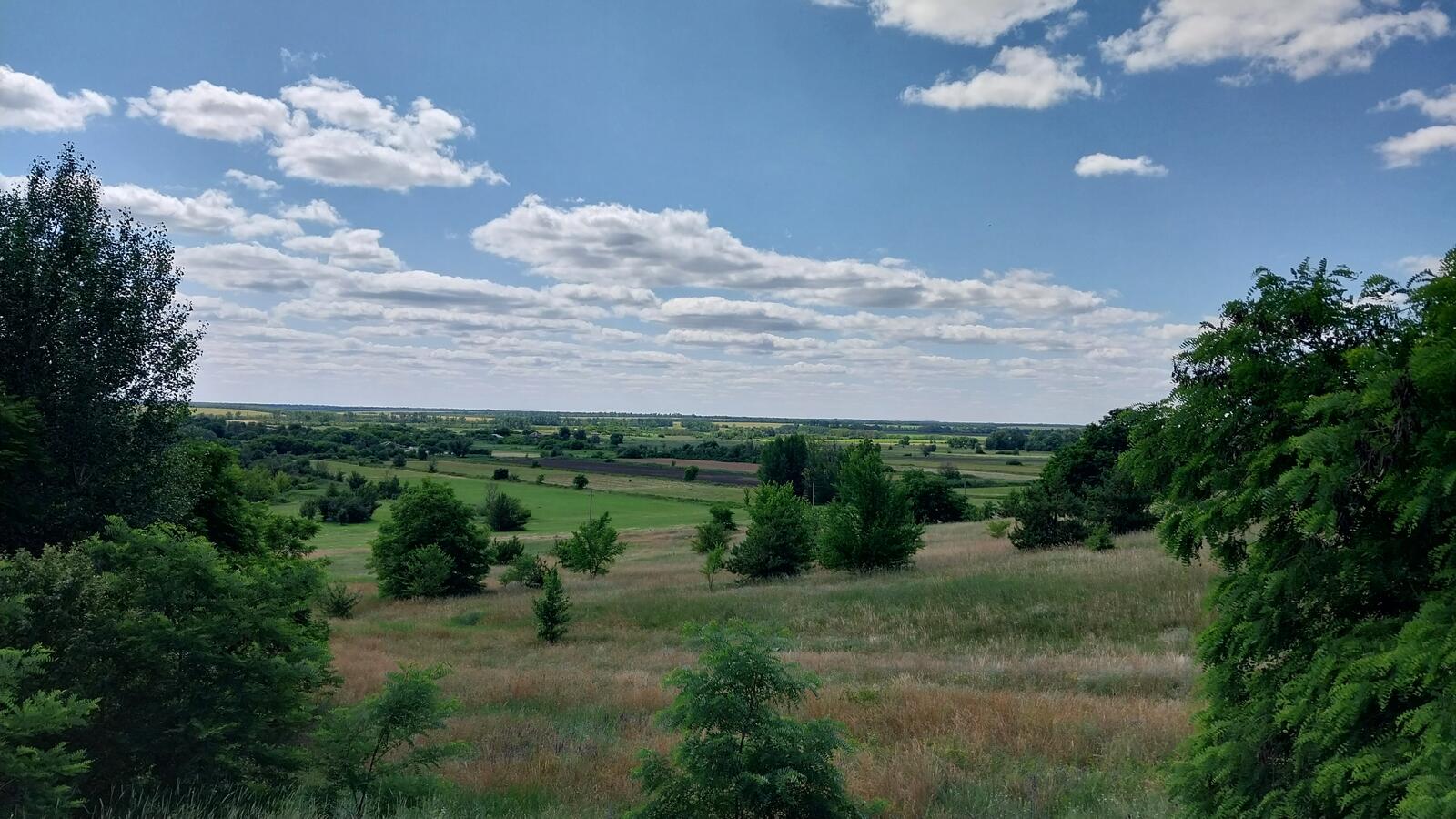 Бесплатное фото Синее летнее небо над полем с деревьями