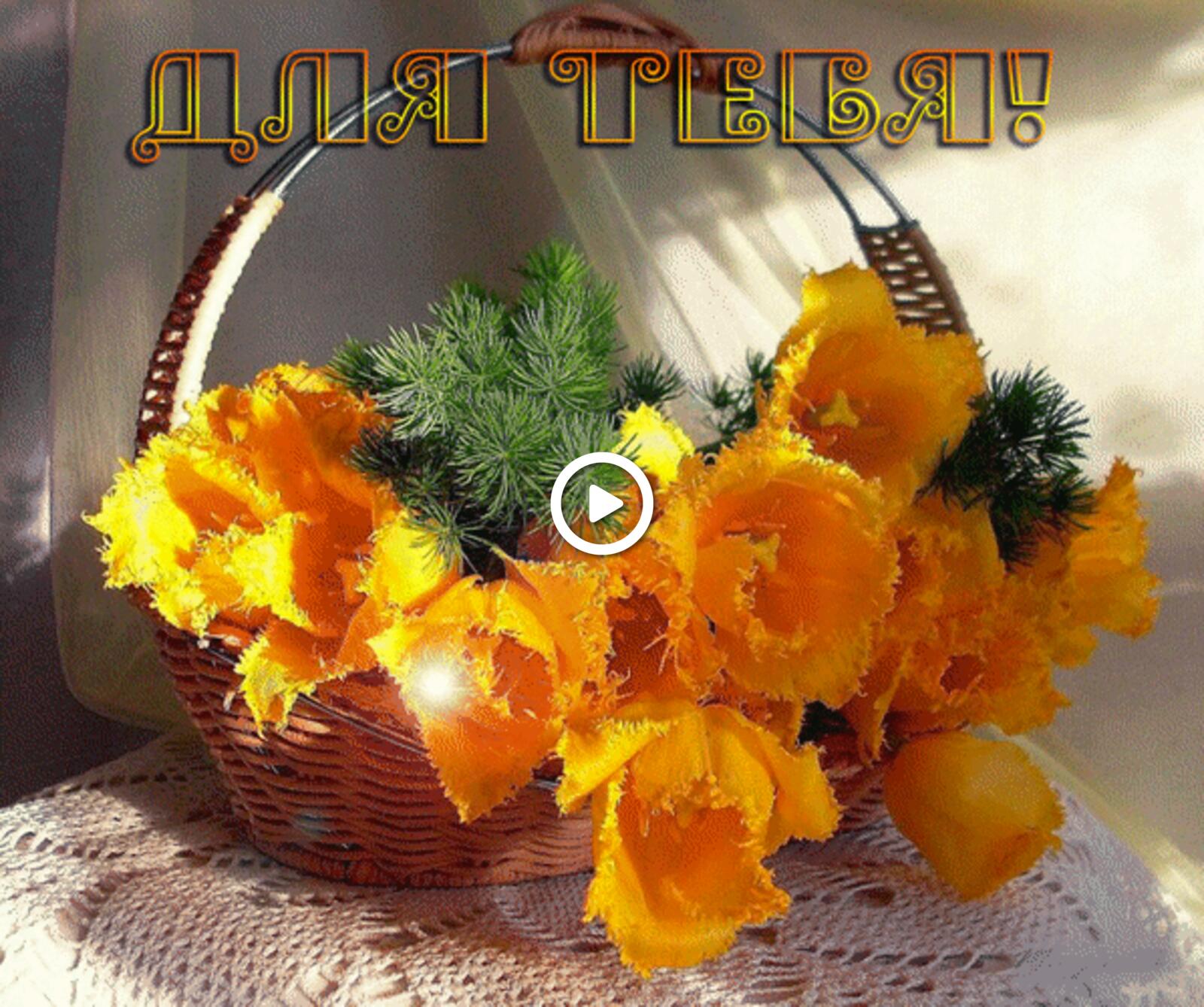 Открытка на тему цветы желтые тюльпаны бесплатно