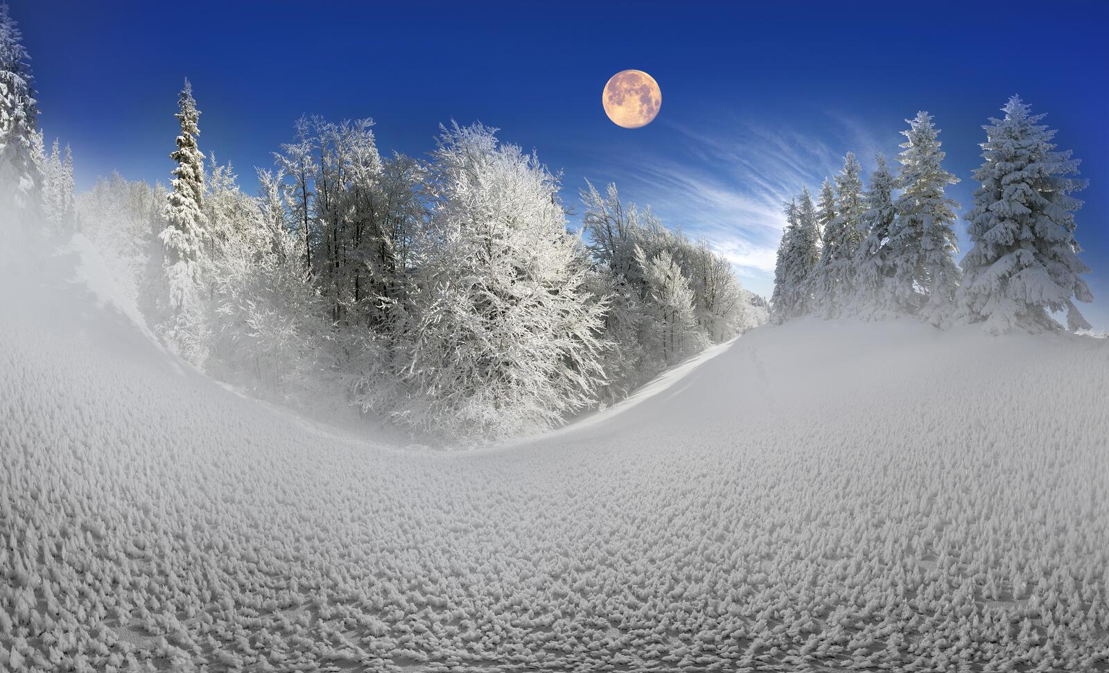 Free photo A snowy moon with snow-white Christmas trees, and a big moon in the sky