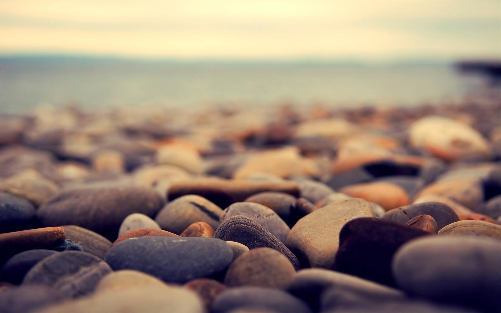 Free photo Sea pebbles on the seashore