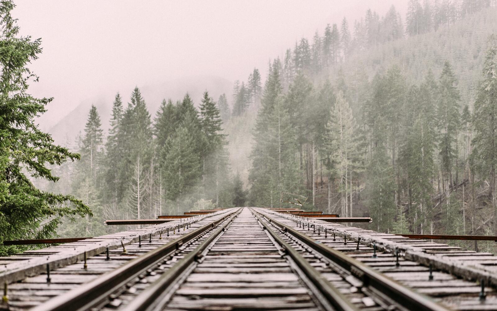 Free photo Railroad on an old wooden bridge
