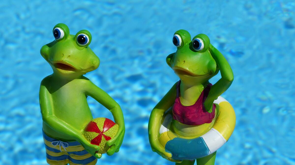 Funny toy frogs in a bathing suit