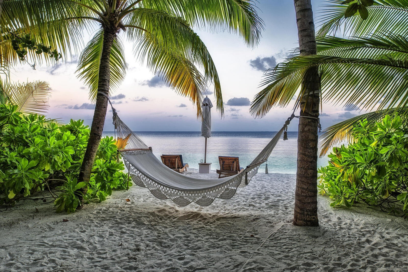 免费照片海边棕榈树间的吊床