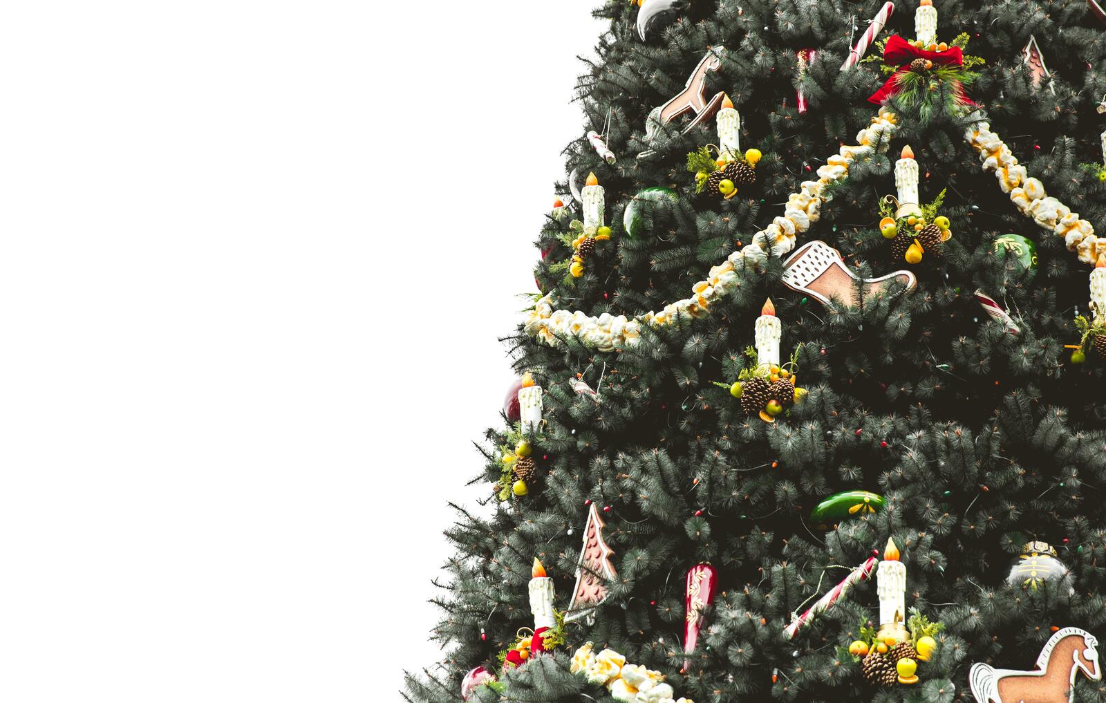 Бесплатное фото Нарядная елка с игрушками на белом фоне