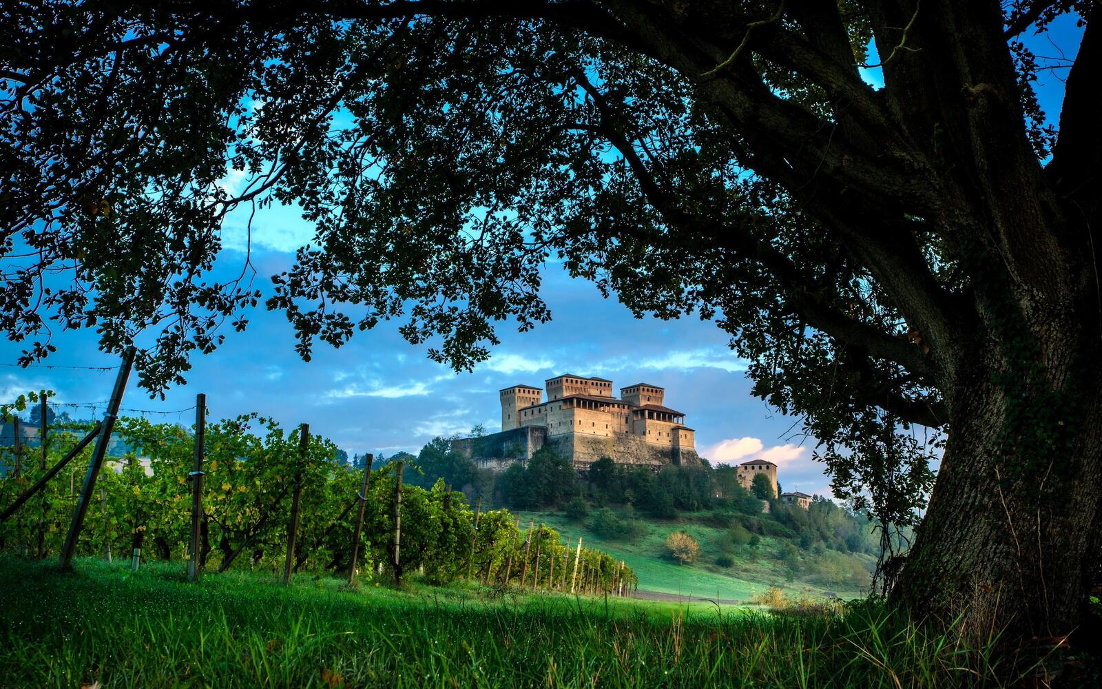 Бесплатное фото Старый замок расположенный на холме