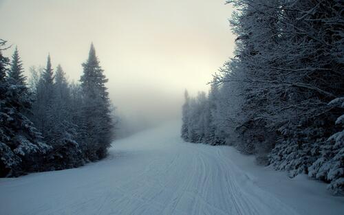 Зимняя лесная дорога с туманом
