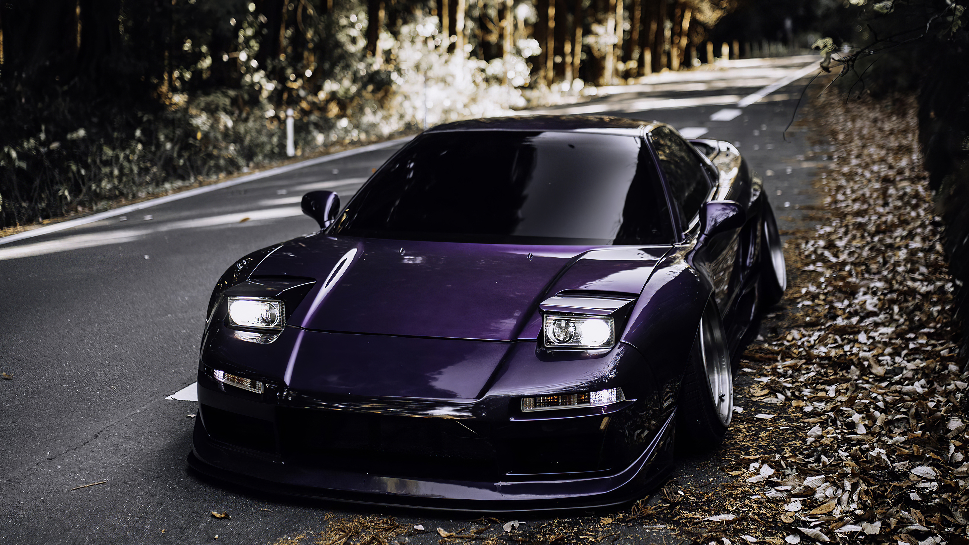 Free photo Undervalued Acura NSX in purple stands on the curb with fallen leaves