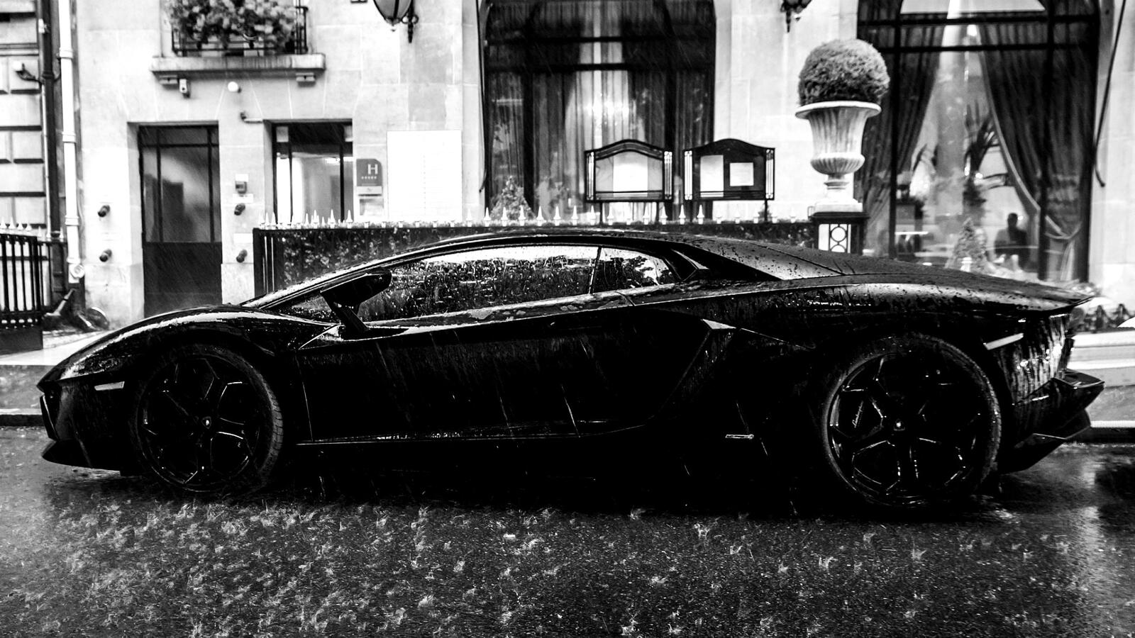 Free photo Lamborghini in a monochrome rainy weather photo
