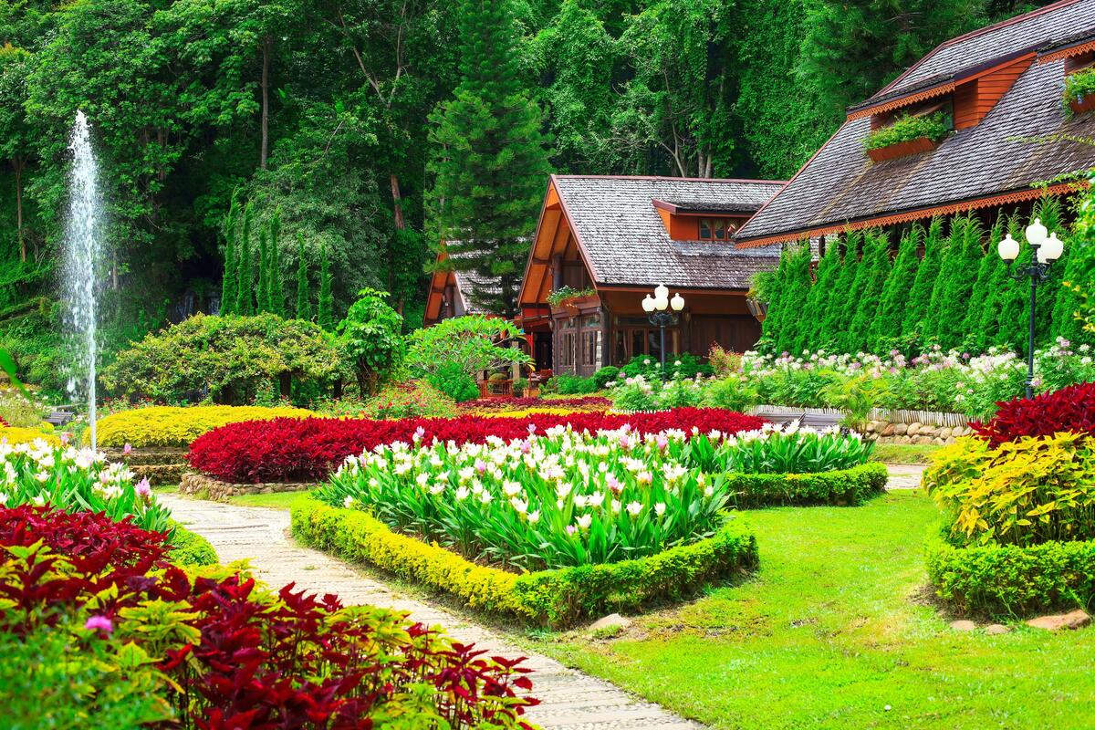 Большие кусты с тюльпанами во дворе у дома