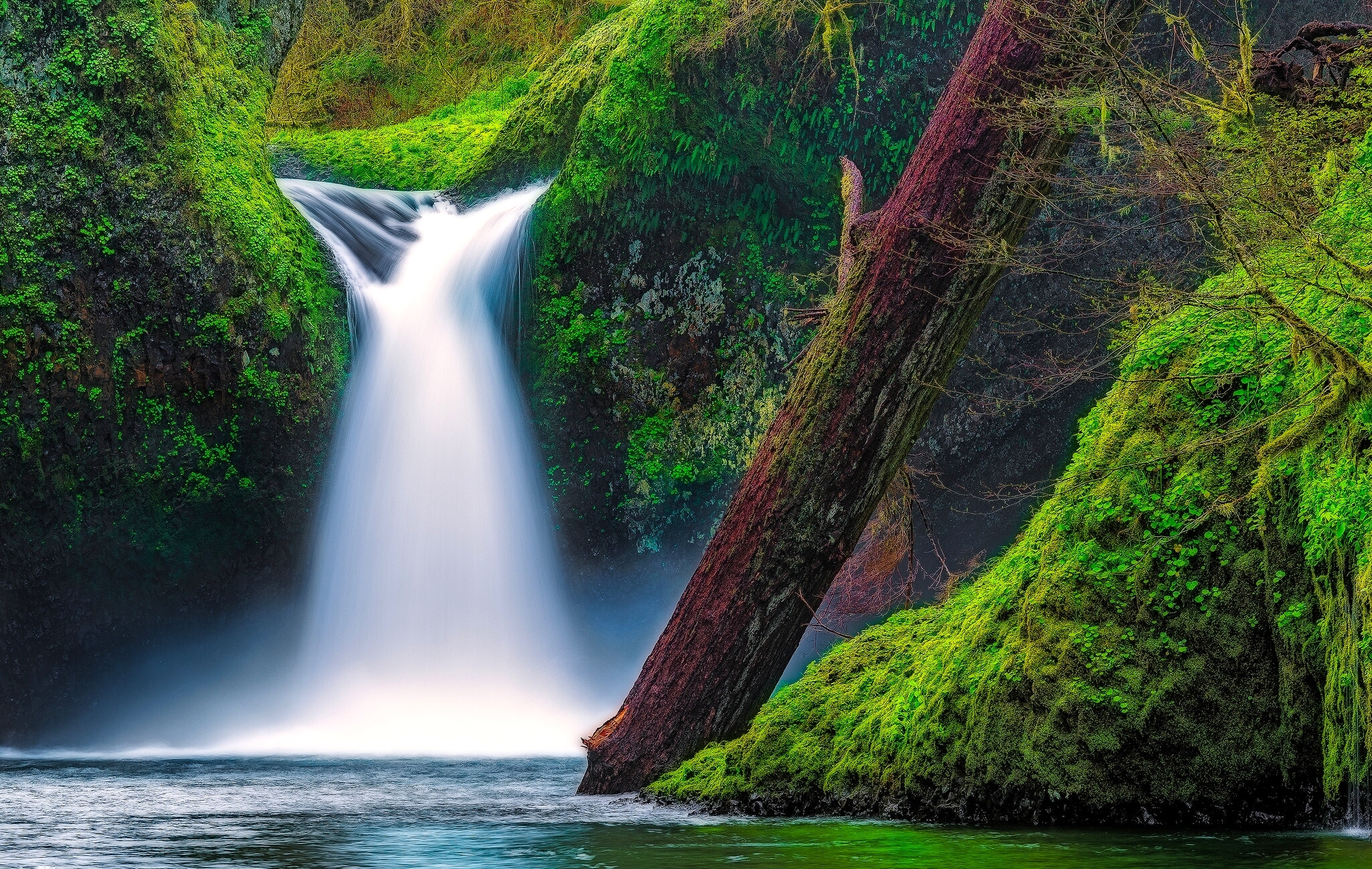 Free photo Picture of Punchbowl Falls.