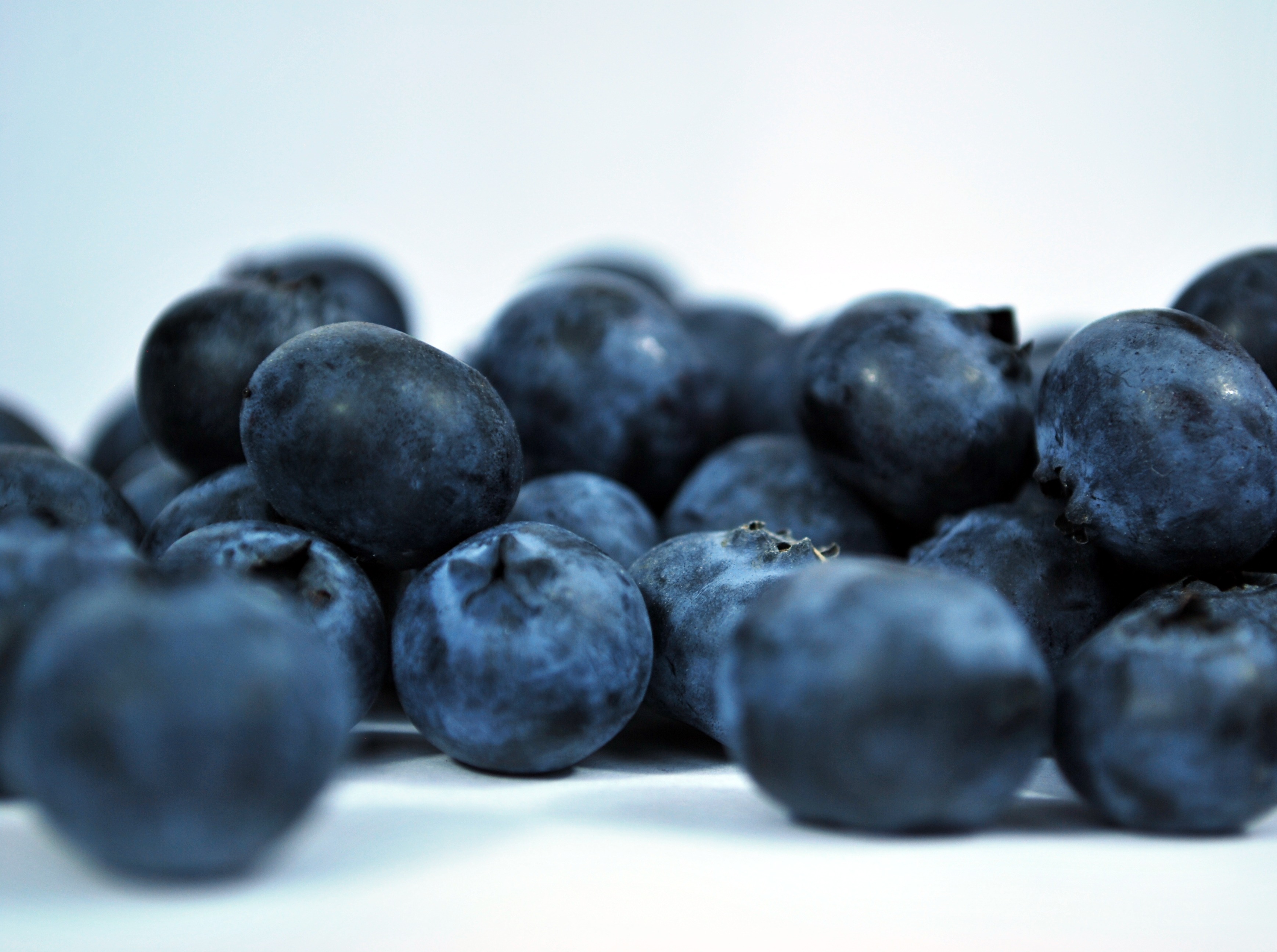 Free photo Ripe blueberries