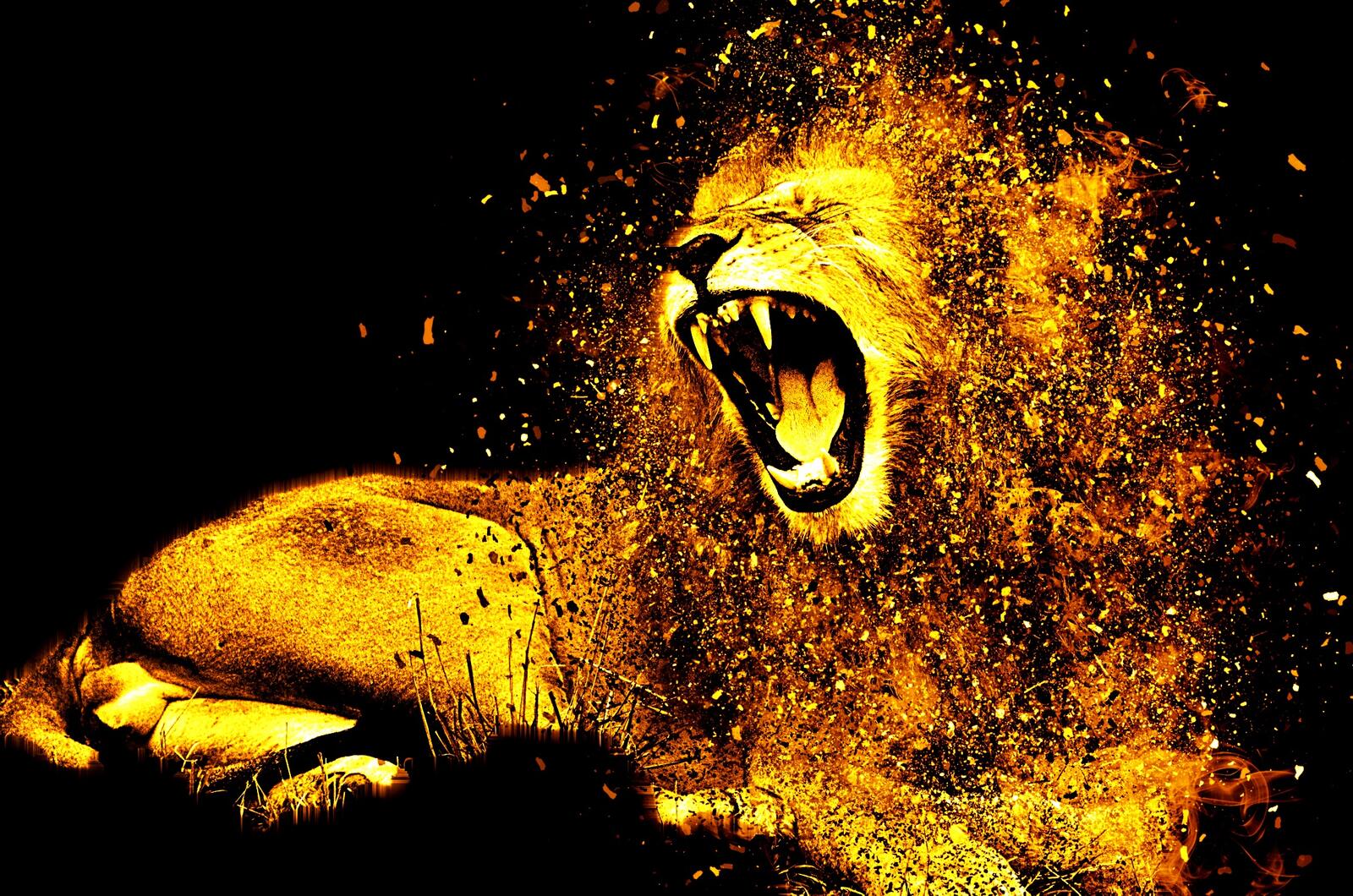 Free photo Drawing a lion with paints on a black background