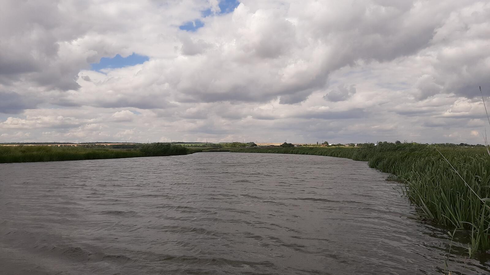 Бесплатное фото Высокая трава на берегу реки