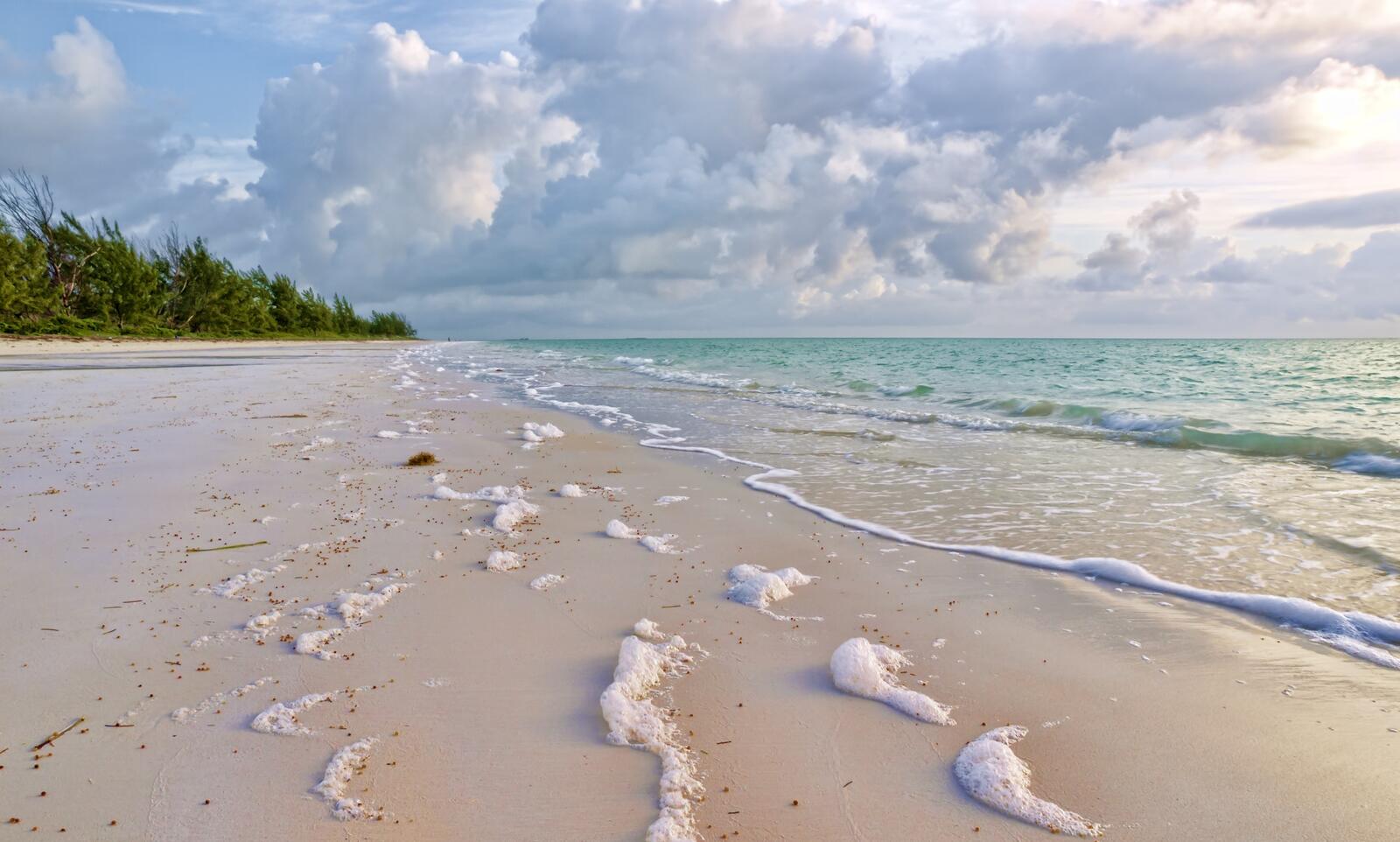 Free photo Foam on the sandy seashore