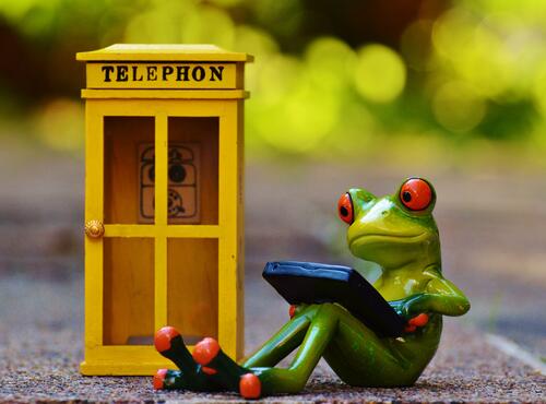 The frog at the phone booth