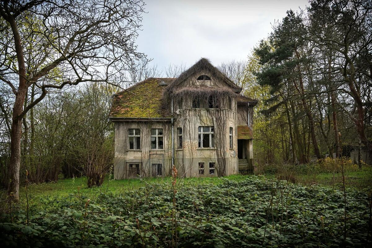 An abandoned building covered with moss and vines