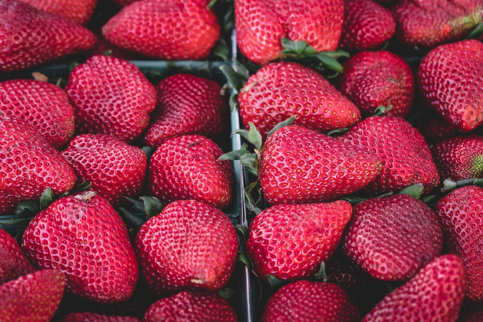 Free photo Big tasty strawberries