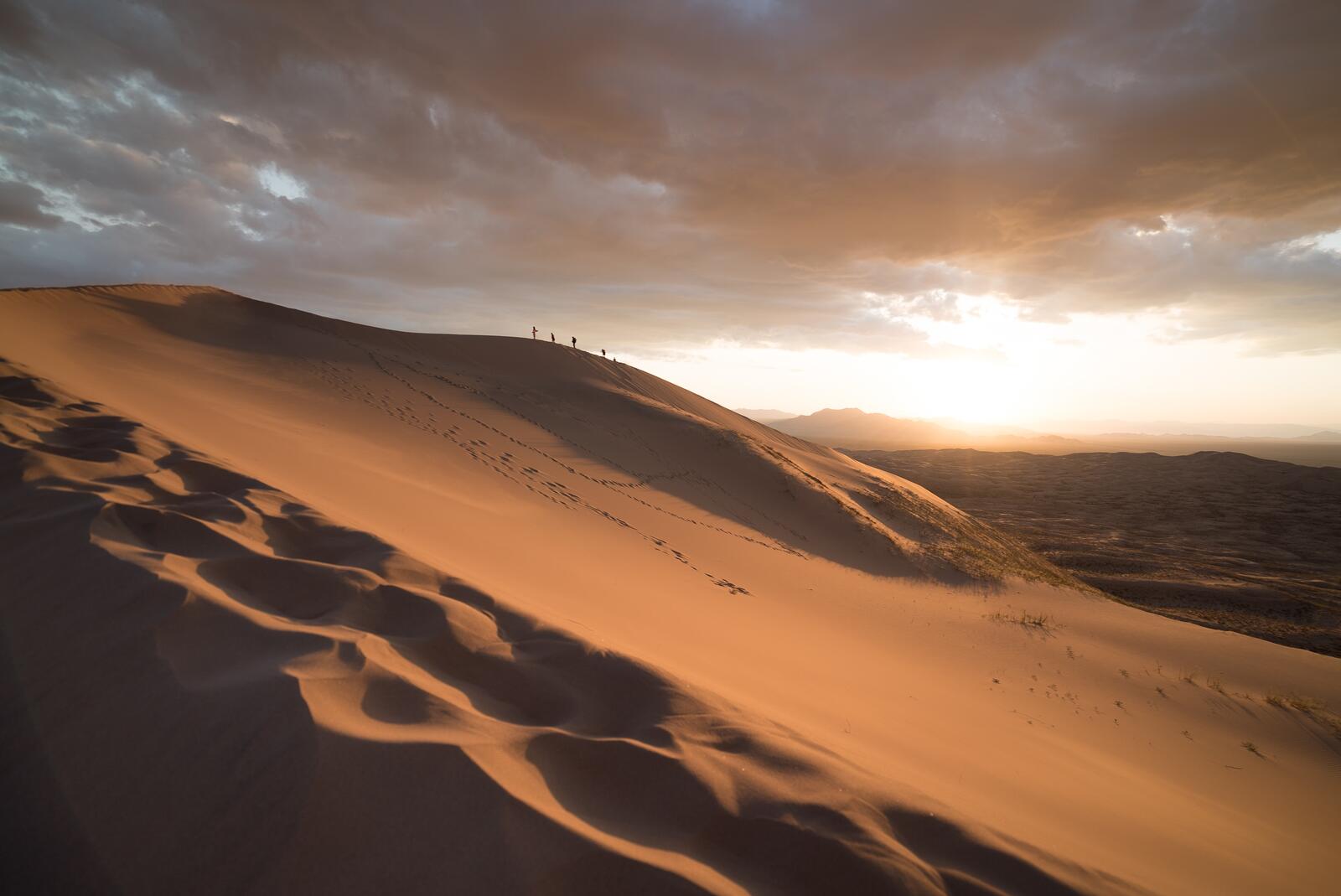 Бесплатное фото Пустыня на закате дня