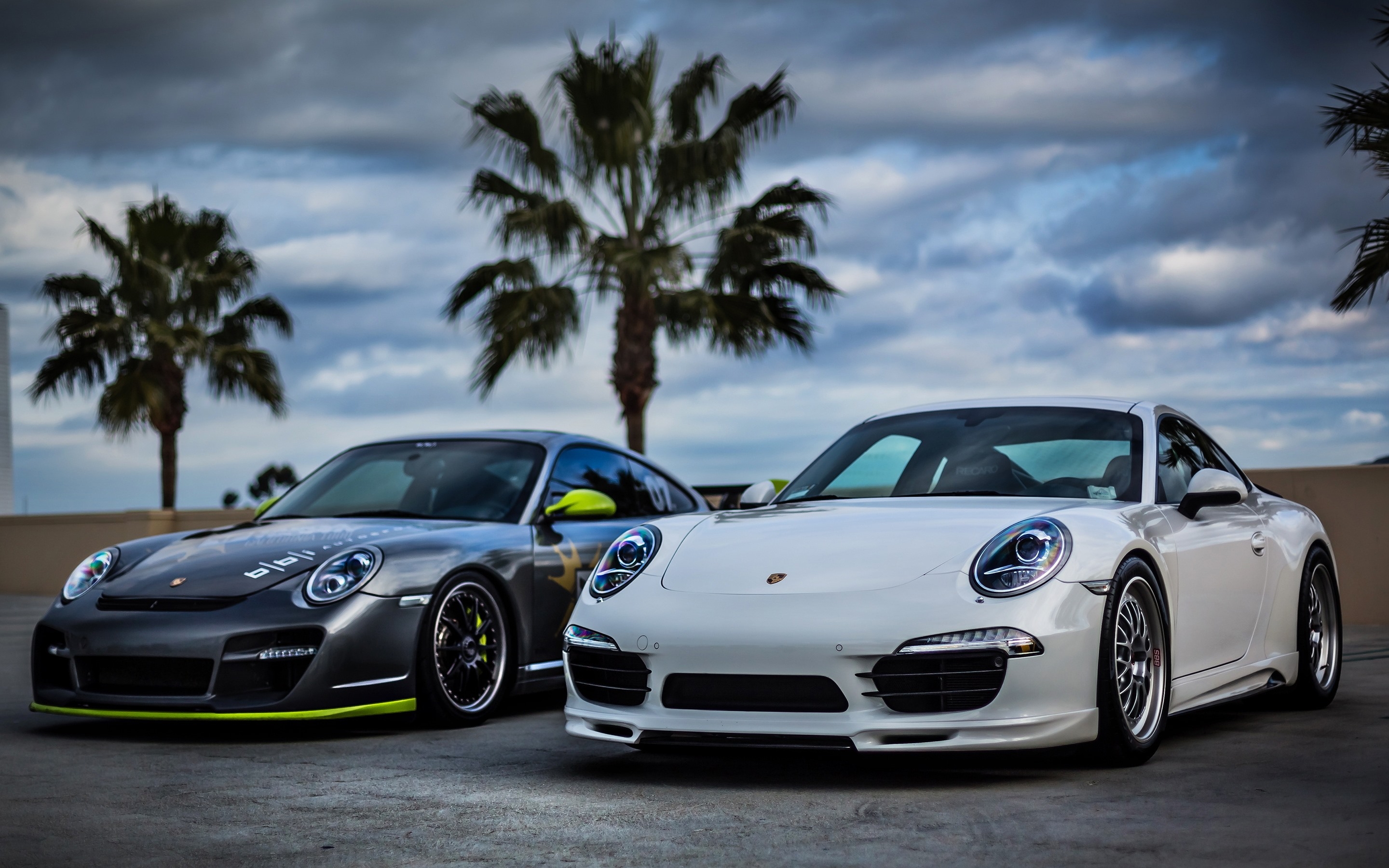 White and black Porsche sports near palm trees
