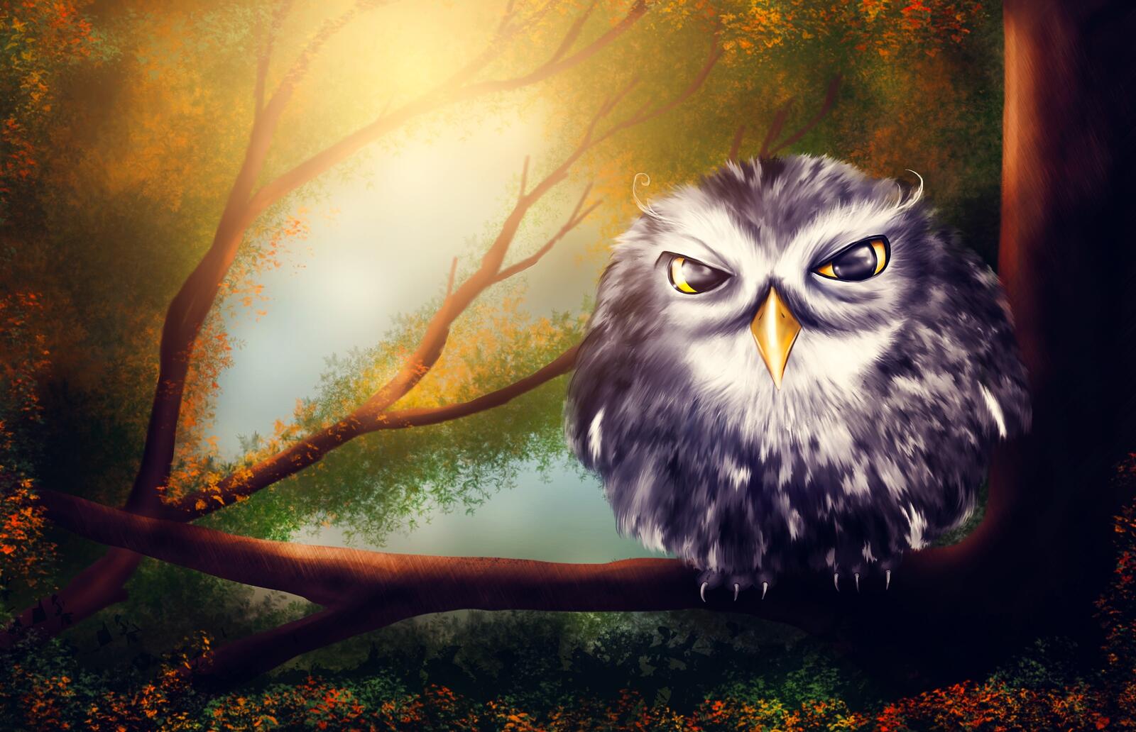 Бесплатное фото Рисунок сонной совы