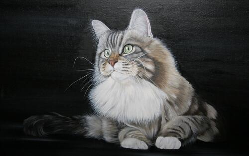 A drawing of a fluffy kitty