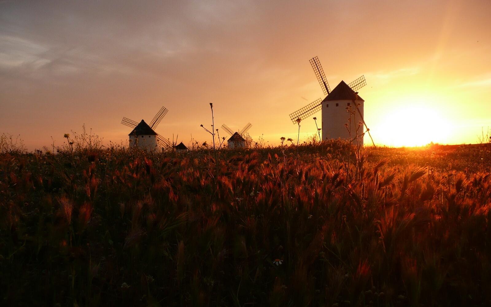 Бесплатное фото Мельницы на большом поле на закате