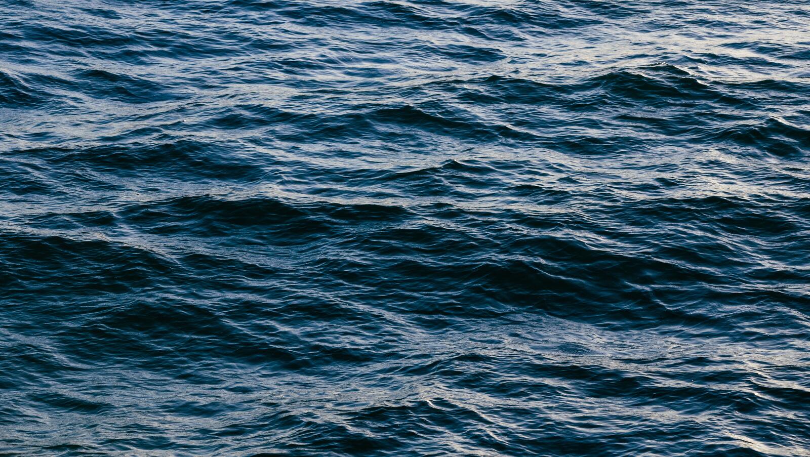 Бесплатное фото Морская ветровая рябь