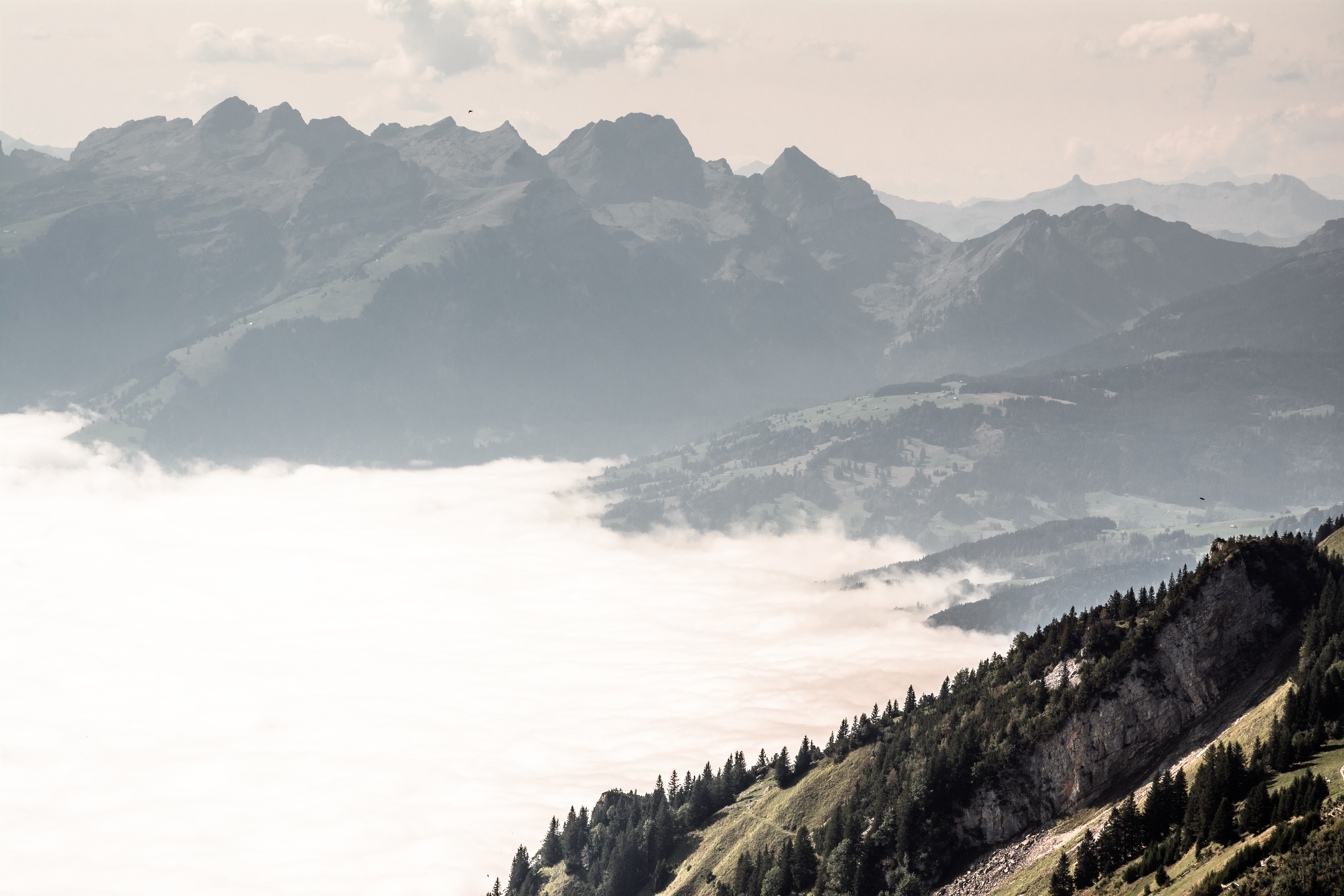 Бесплатное фото Туман у подножья горы
